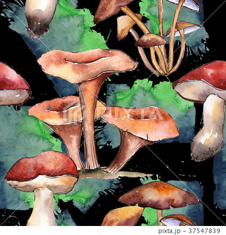 Mushrooms healthy food pattern in a watercolor 37547839