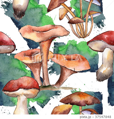 Mushrooms healthy food pattern in a watercolor 37547848