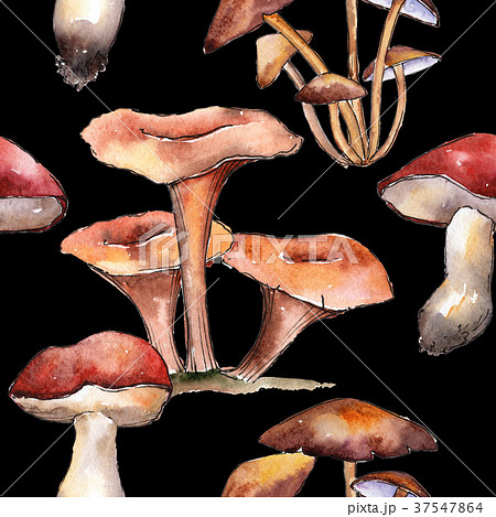 Mushrooms healthy food pattern in a watercolor Mushrooms healthy food pattern in a watercolor 37547864