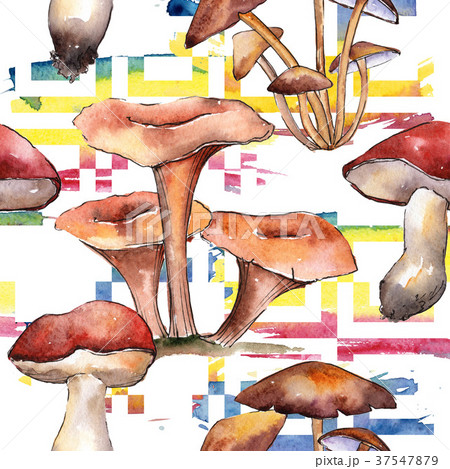 Mushrooms healthy food pattern in a watercolor 37547879