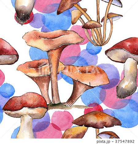 Mushrooms healthy food pattern in a watercolor 37547892