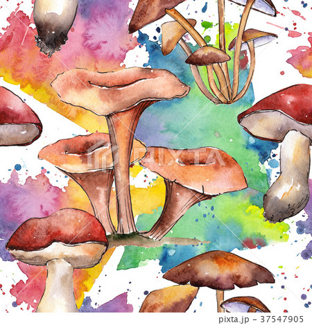 Mushrooms healthy food pattern in a watercolor 37547905