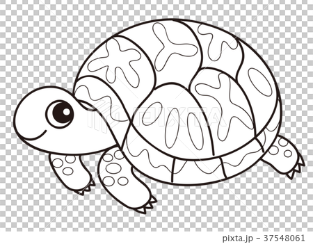 地龜Geocheloneelegans著色頁 37548061