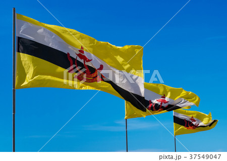flags poles of brunei on sky backgrounds flags poles of brunei on sky backgrounds 37549047