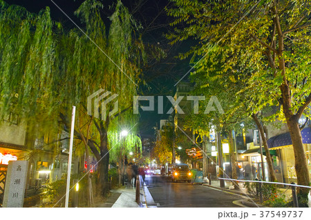 夜の木屋町通りと高瀬川 37549737