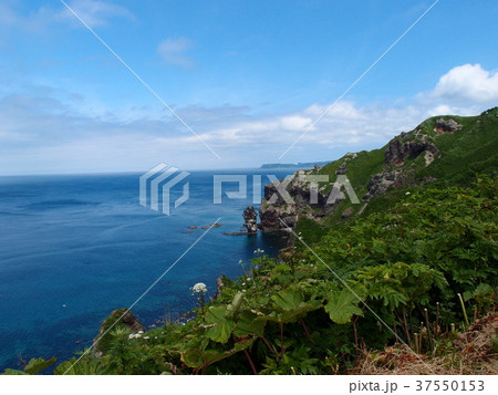 初夏の神威岬 37550153
