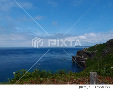 初夏の神威岬 37550155