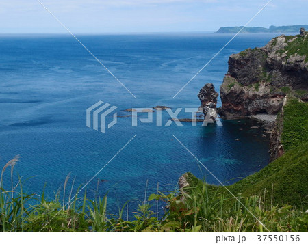初夏の神威岬 37550156