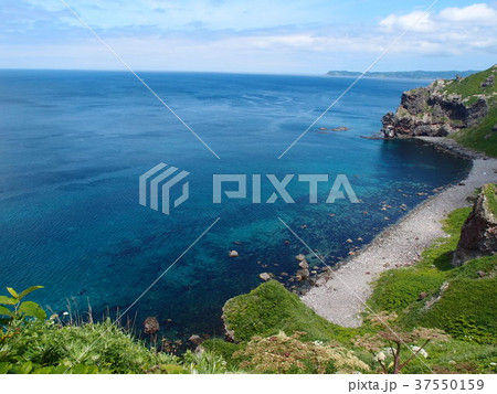 初夏の神威岬 37550159