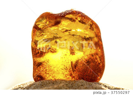 Amber on a beach of the Baltic Sea Amber on a beach of the Baltic Sea 37550297