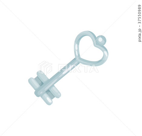 Silver old key vector Illustration 37550989