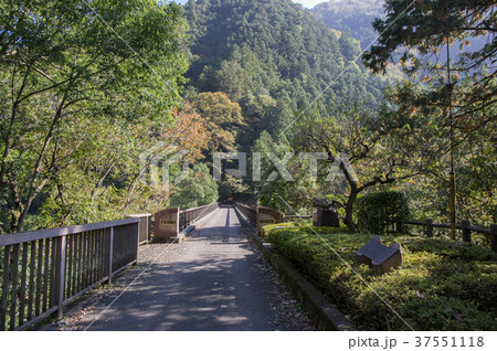 数馬峡橋 37551118