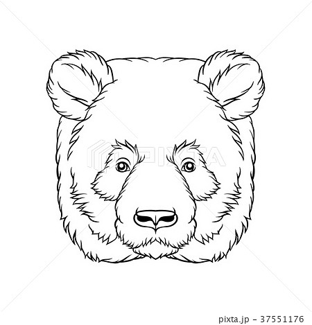 Black and white sketch of panda bears head, face 37551176