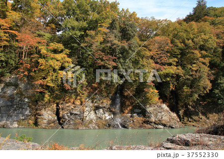 長瀞の明神の滝と紅葉 37552330