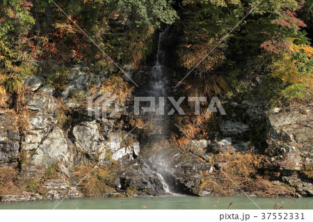 長瀞の明神の滝と紅葉 37552331