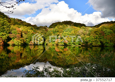 白神山地・十二湖　水面に映る紅葉の｢落口の池｣ 37552717
