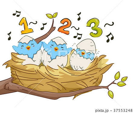 Birds Nest Sing 123 Illustration 37553248