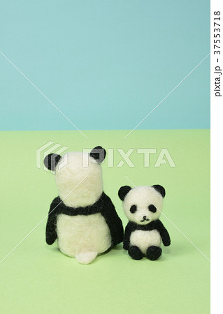 お座りパンダの親子 37553718