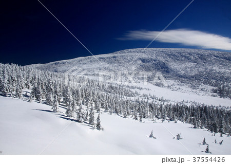 樹氷 樹氷 37554426