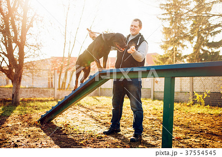 Cynologist training sniffing dog on playground 37554545