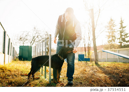Cynologist with sniffing dog, training outside 37554551