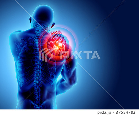 Shoulder painful skeleton x-ray, 3D illustration. Shoulder painful skeleton x-ray, 3D illustration. 37554782
