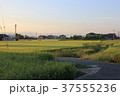 田園 37555236