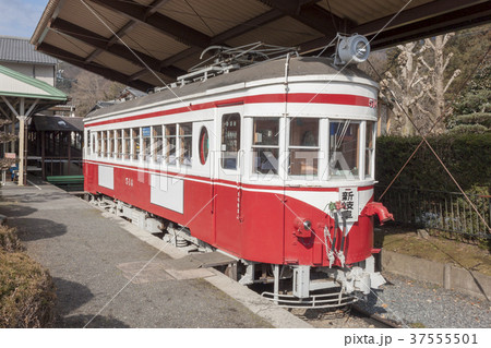 谷汲線の電車 37555501