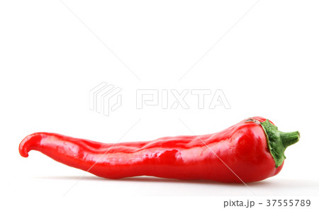 Paprika isolated on white backround Paprika isolated on white backround 37555789