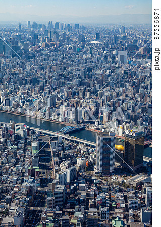 東京　都市風景　俯瞰 37556874