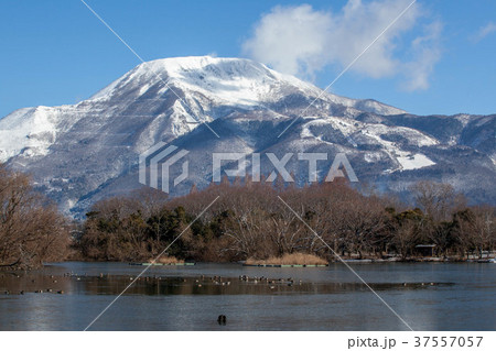 冬の伊吹山と三島池1 37557057
