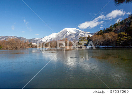 冬の伊吹山と三島池7 冬の伊吹山と三島池7 37557069