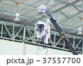 shoot video camera 37557700