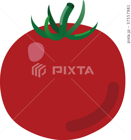 トマト トマト 37557981