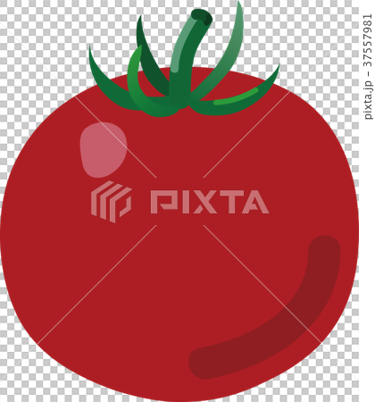 トマト トマト 37557981
