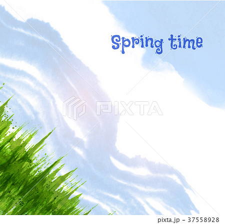 Fresh green grass and blue sky. Vector Fresh green grass and blue sky. Vector 37558928