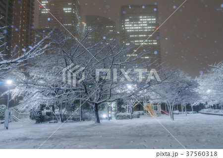 雪降る東京 雪降る東京 37560318