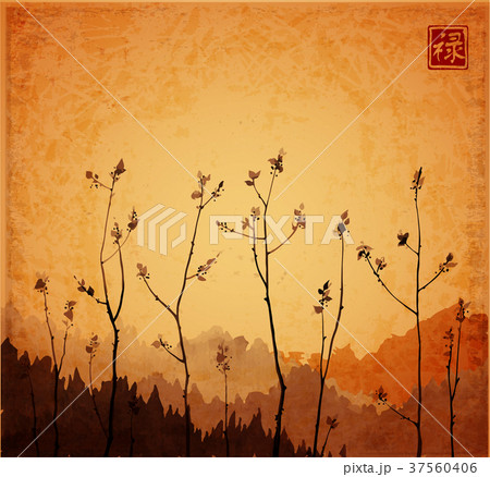 Branches of young trees with fresh leaves on 37560406
