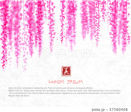 Pink Wisteria blossom on white rice paper 37560408