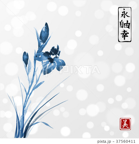 Blue iris flowers hand drawn with ink in asian Blue iris flowers hand drawn with ink in asian 37560411