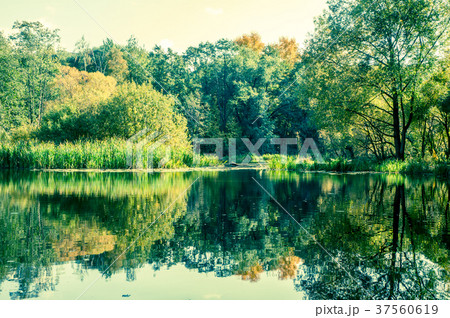 Photo of lake, picturesque landscape 37560619