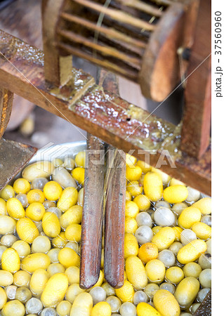 Closed up of vintage method for silk reeling 37560960