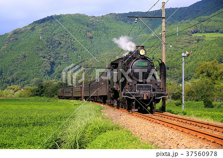 大井川鉄道　SL 37560978