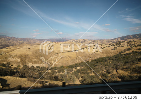 Golden hills with trees and roads in clear day Golden hills with trees and roads in clear day 37561209
