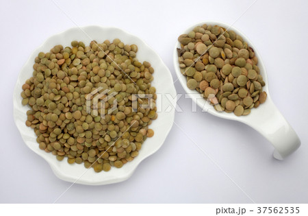 Green Lentils (lens culinaris) Green Lentils (lens culinaris) 37562535