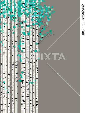 Birchwood forest card 37562832