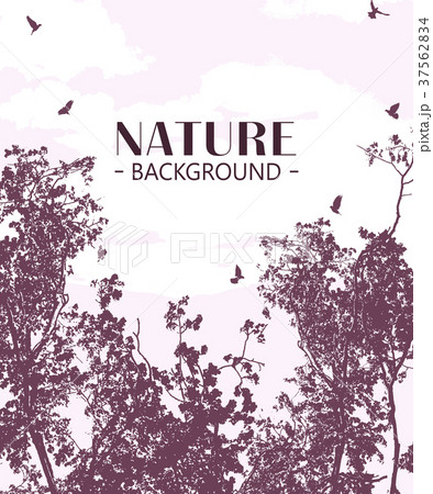 Birds and tree silhouette 37562834