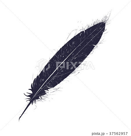 Grunge feather pen 37562957