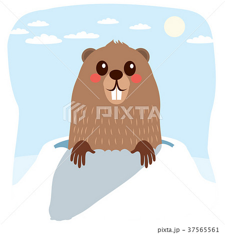 Groundhog Winter 37565561