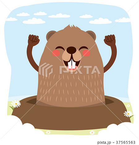 Groundhog Day 37565563